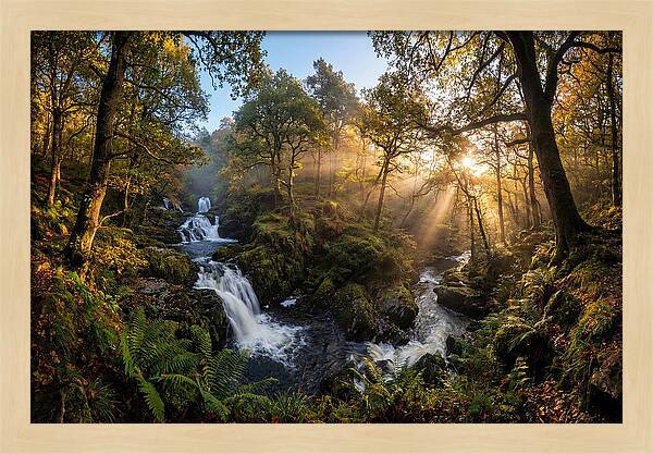 Cataract Falls Serenity