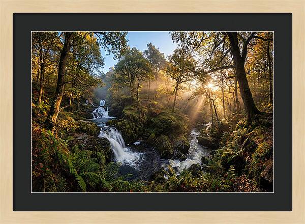 Cataract Falls Serenity