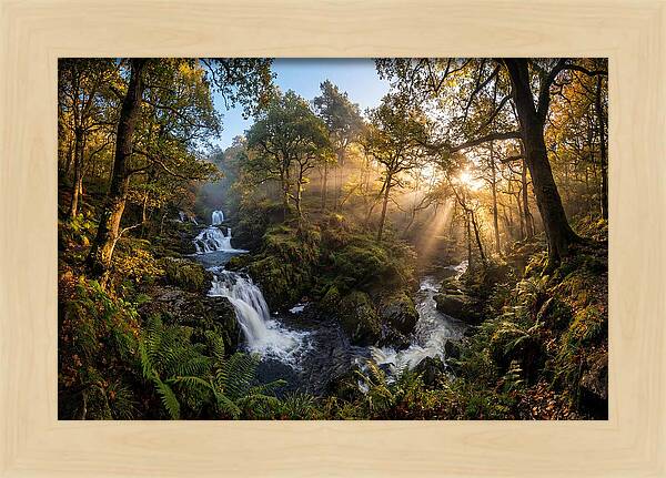 Cataract Falls Serenity