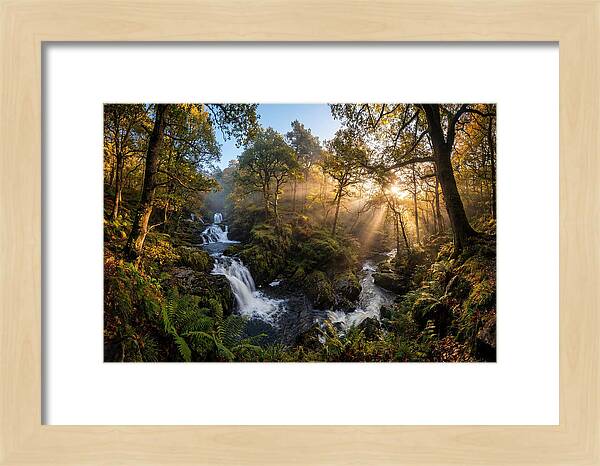 Cataract Falls Serenity