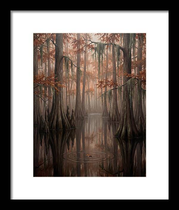 Cathedral Of The Swamp