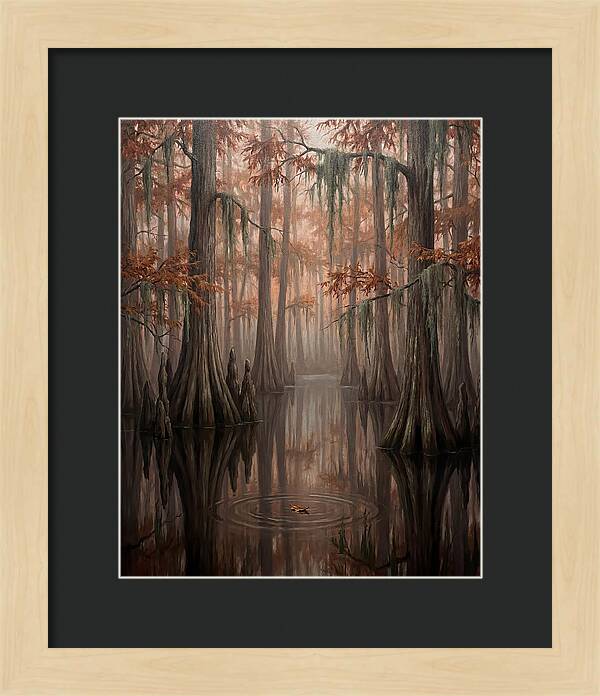 Cathedral Of The Swamp