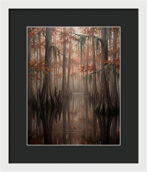 Cathedral Of The Swamp