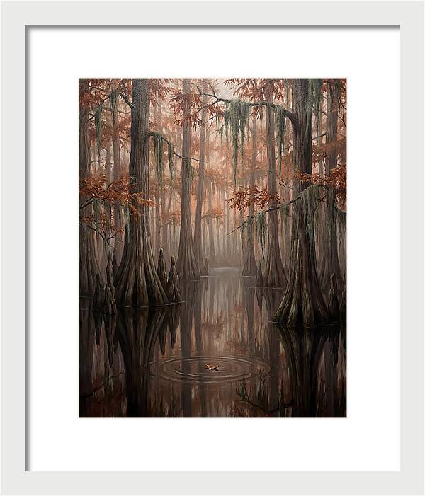 Cathedral Of The Swamp