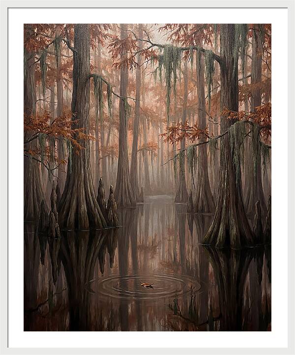 Cathedral Of The Swamp
