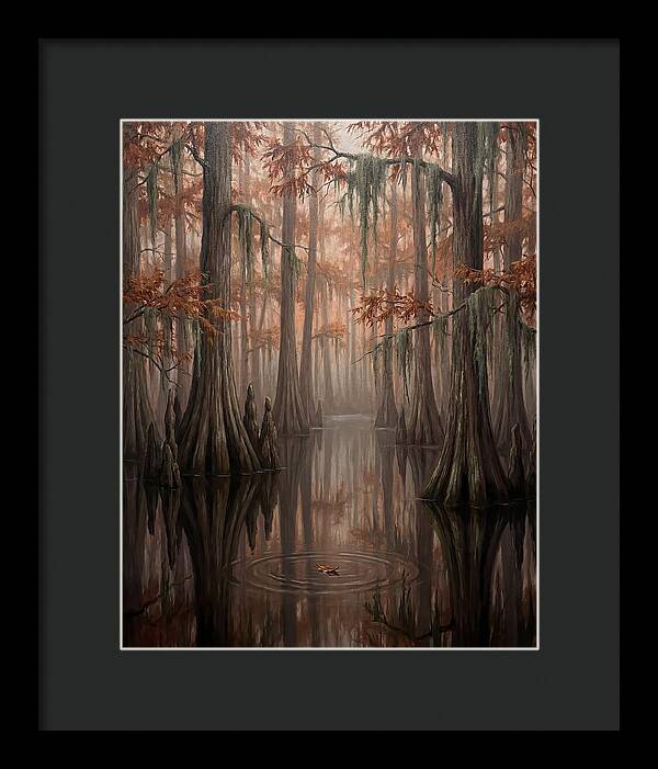 Cathedral Of The Swamp