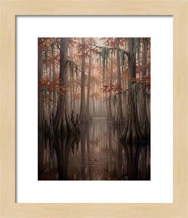 Cathedral Of The Swamp