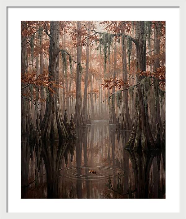 Cathedral Of The Swamp