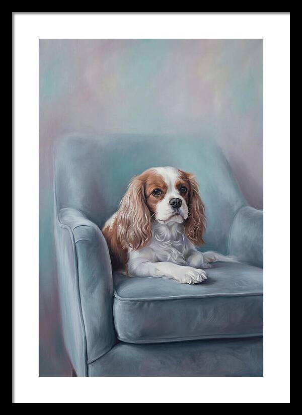 Cavalier King Charles Spaniel Serenity