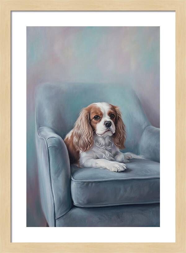 Cavalier King Charles Spaniel Serenity