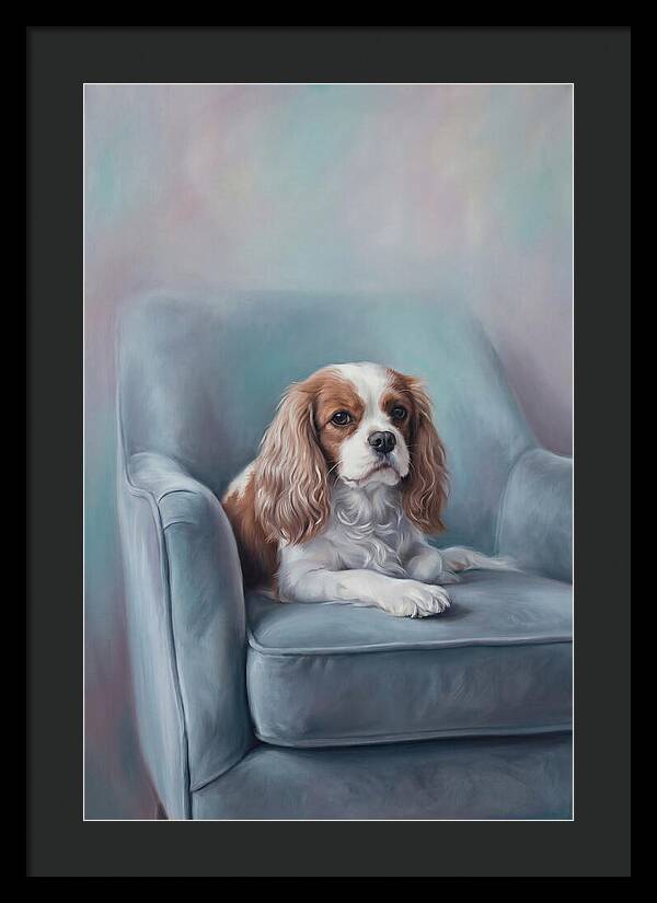 Cavalier King Charles Spaniel Serenity