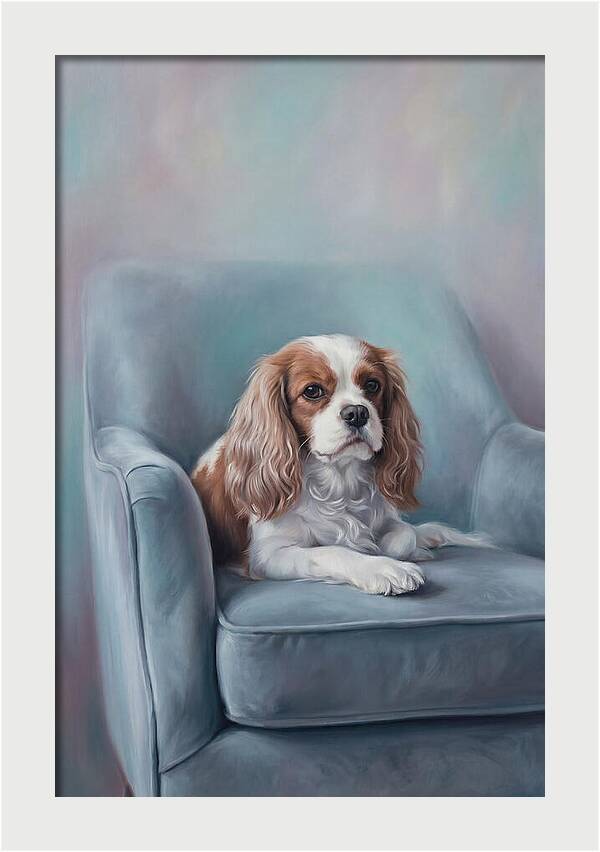 Cavalier King Charles Spaniel Serenity