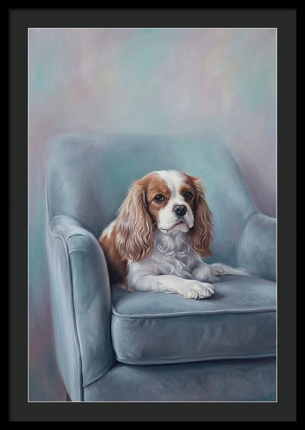 Cavalier King Charles Spaniel Serenity
