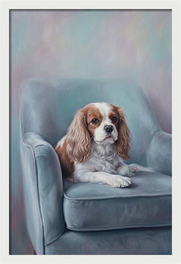 Cavalier King Charles Spaniel Serenity