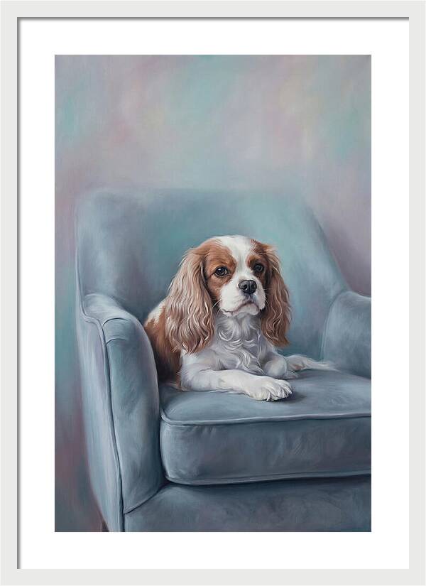 Cavalier King Charles Spaniel Serenity