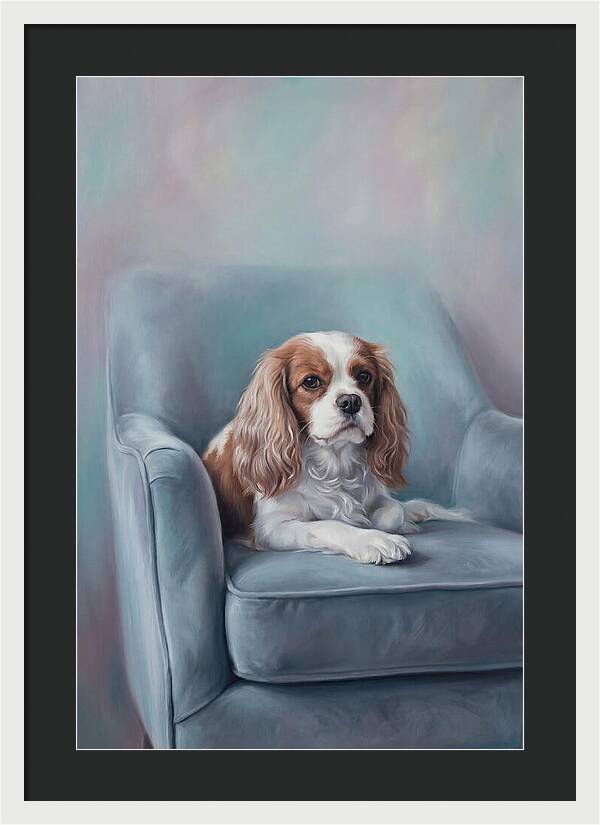 Cavalier King Charles Spaniel Serenity