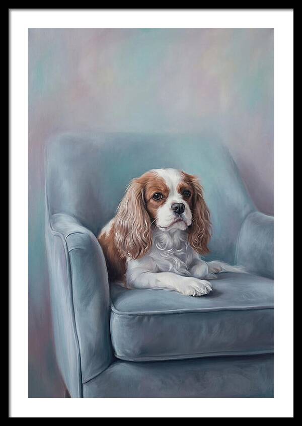 Cavalier King Charles Spaniel Serenity