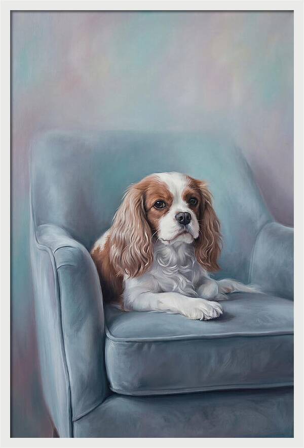 Cavalier King Charles Spaniel Serenity