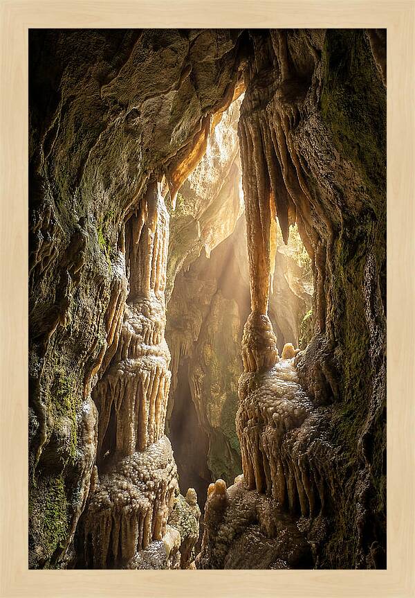 Cavernous Wonders Of Carlsbad