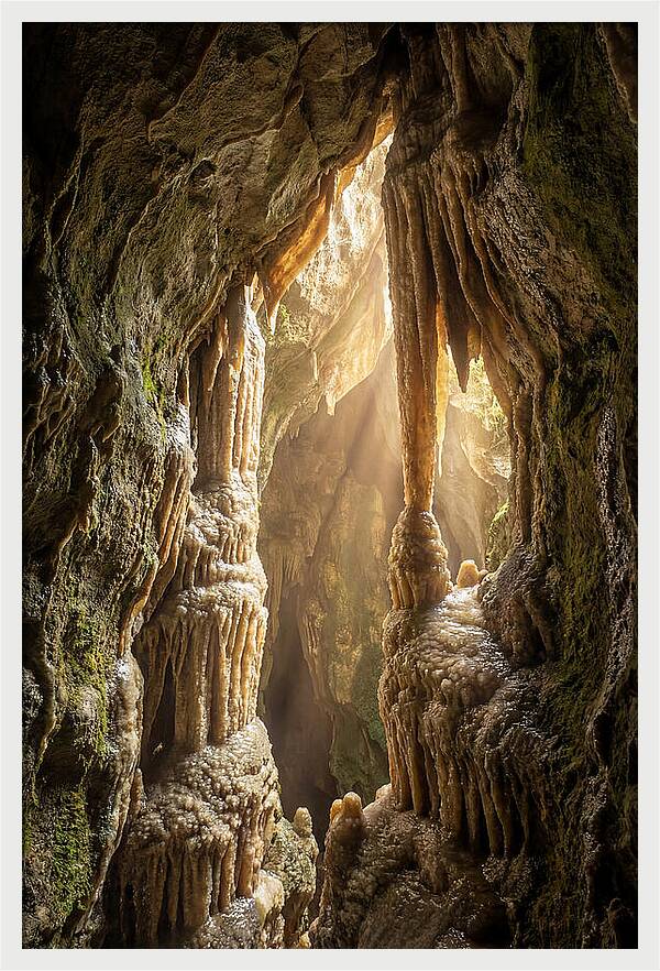 Cavernous Wonders Of Carlsbad