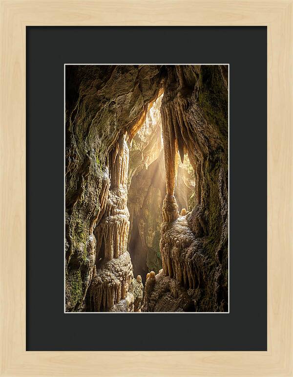 Cavernous Wonders Of Carlsbad