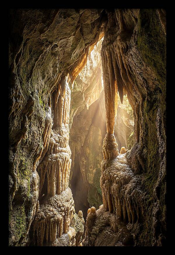 Cavernous Wonders Of Carlsbad