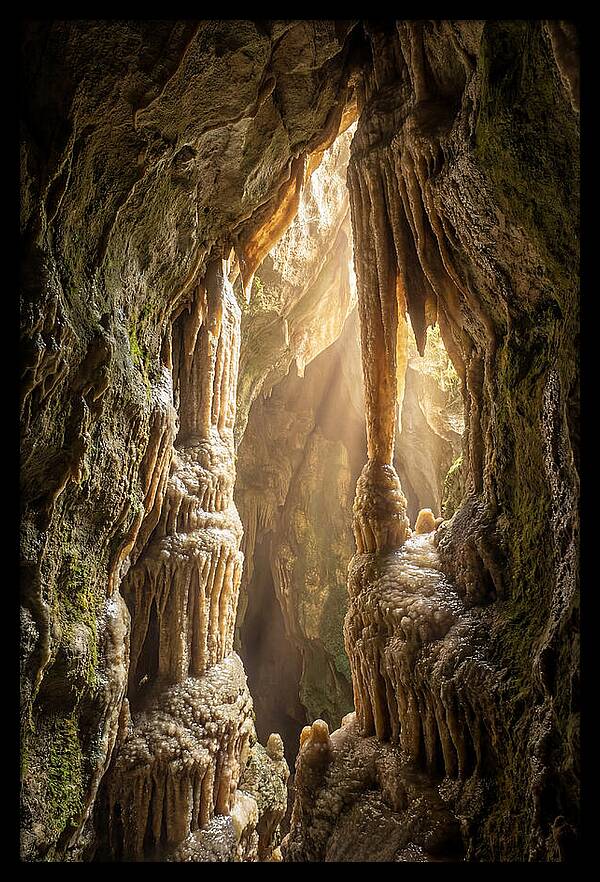 Cavernous Wonders Of Carlsbad