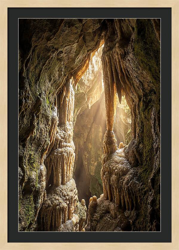 Cavernous Wonders Of Carlsbad