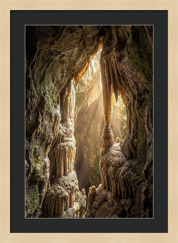 Cavernous Wonders Of Carlsbad