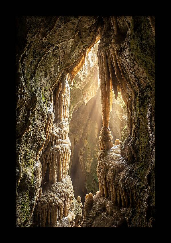 Cavernous Wonders Of Carlsbad