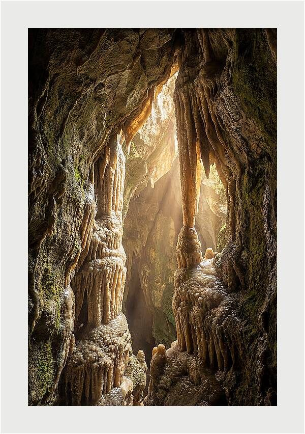 Cavernous Wonders Of Carlsbad