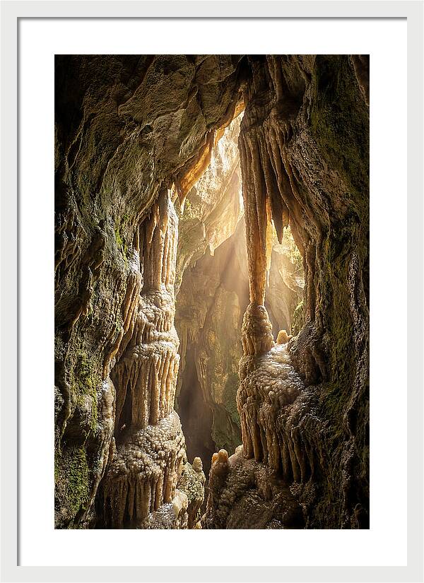 Cavernous Wonders Of Carlsbad