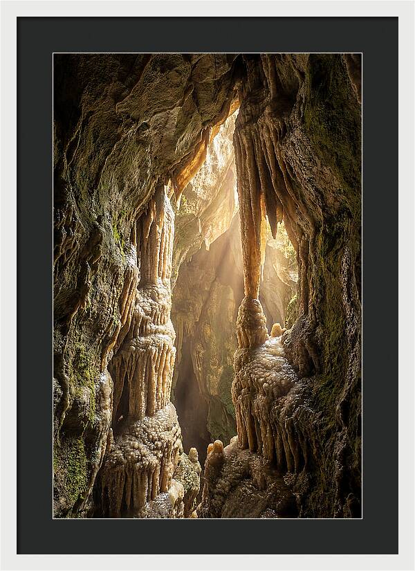 Cavernous Wonders Of Carlsbad