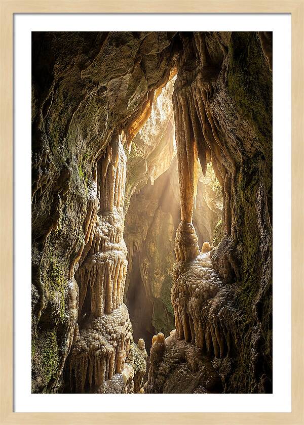 Cavernous Wonders Of Carlsbad