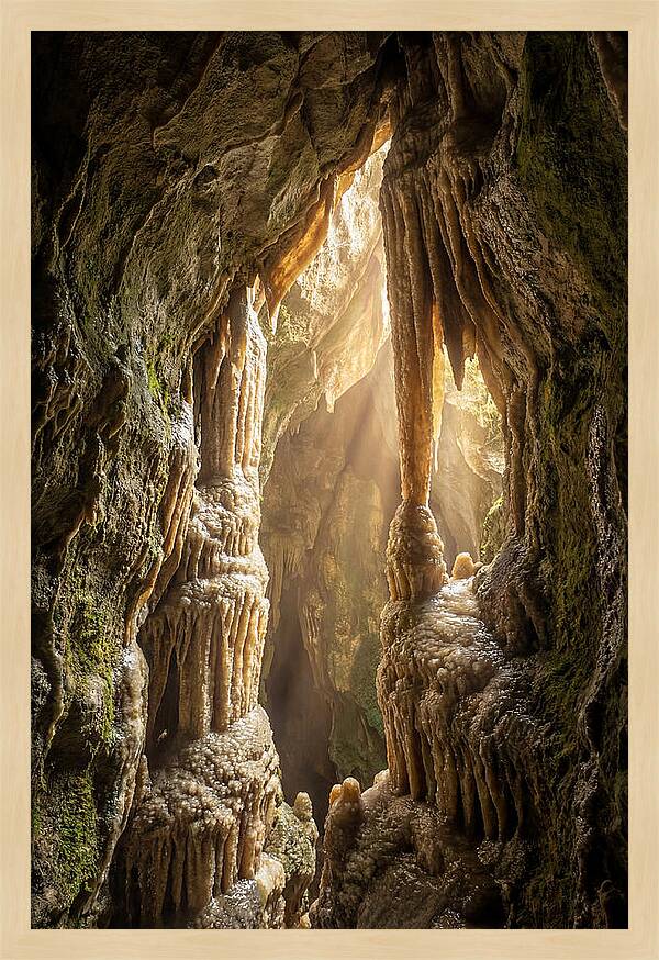 Cavernous Wonders Of Carlsbad