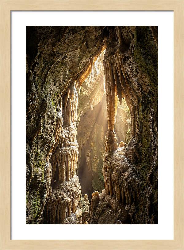 Cavernous Wonders Of Carlsbad