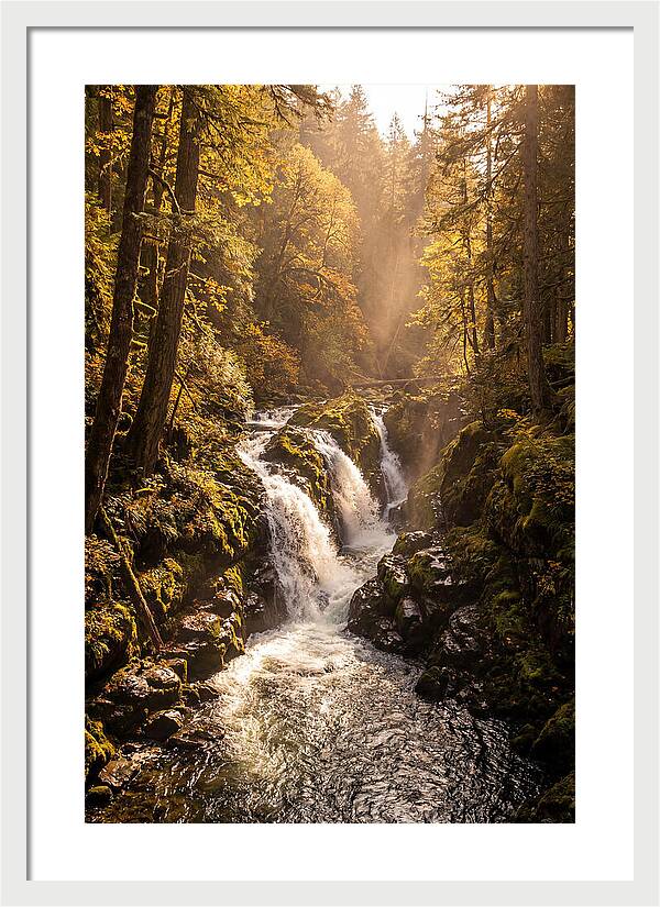 Cedar Falls Cascade