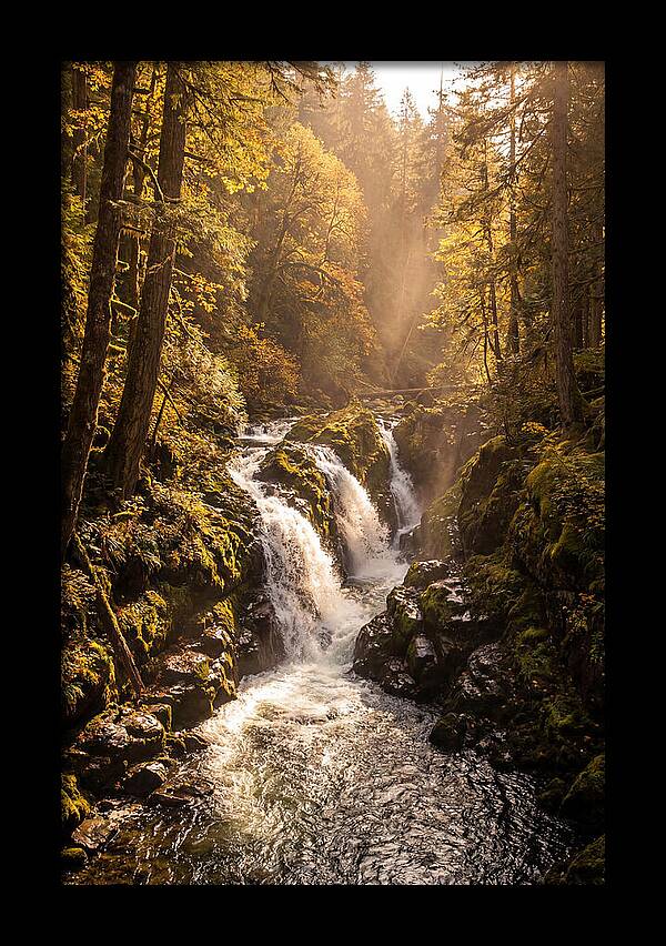 Cedar Falls Cascade