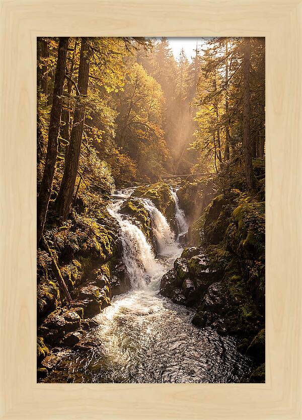 Cedar Falls Cascade