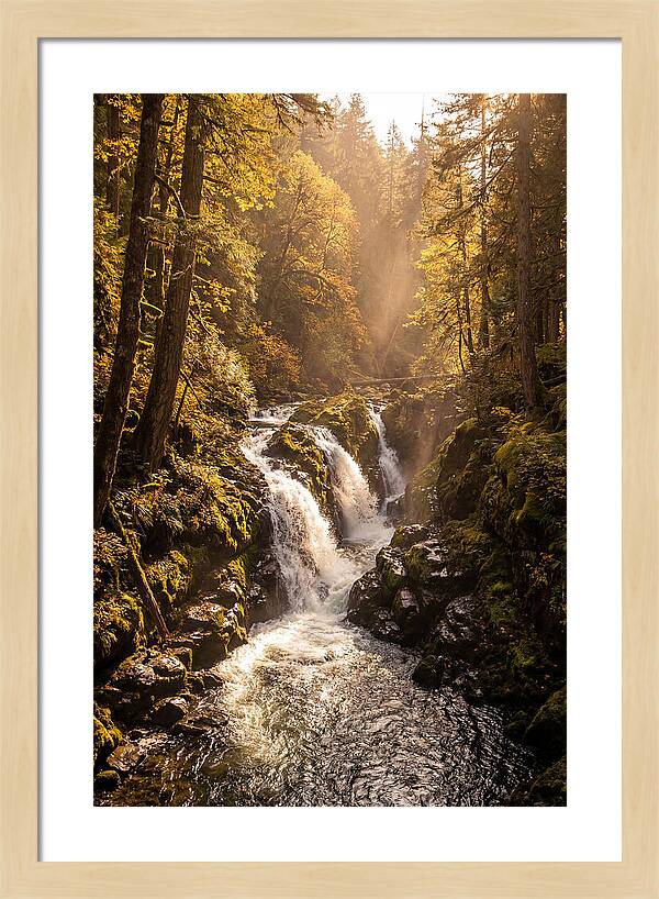 Cedar Falls Cascade