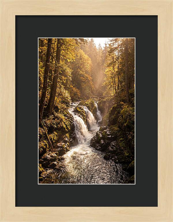 Cedar Falls Cascade