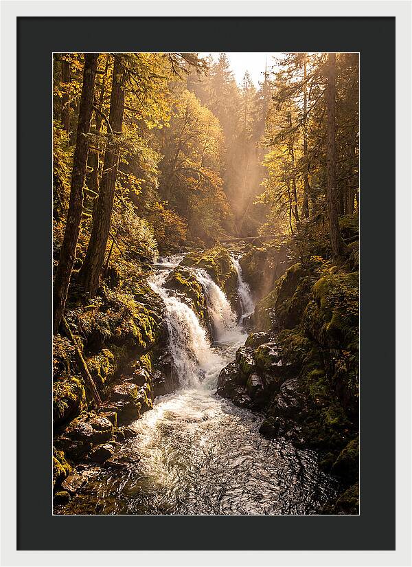 Cedar Falls Cascade
