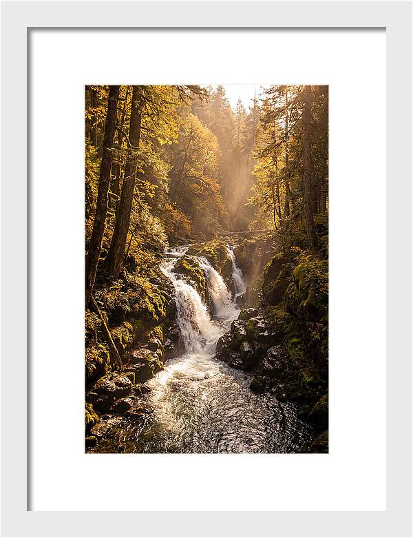 Cedar Falls Cascade