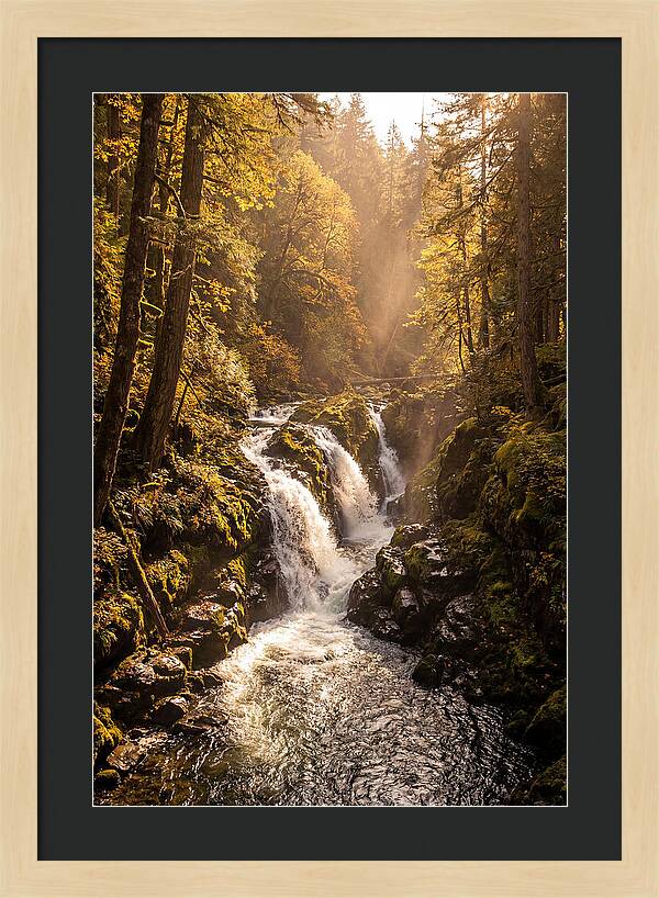 Cedar Falls Cascade