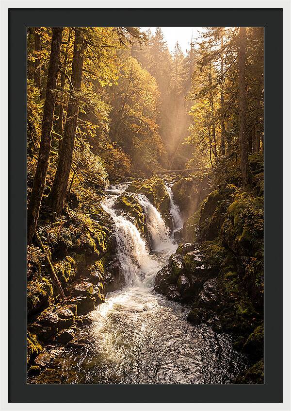 Cedar Falls Cascade