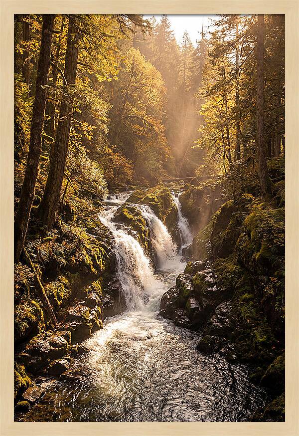Cedar Falls Cascade