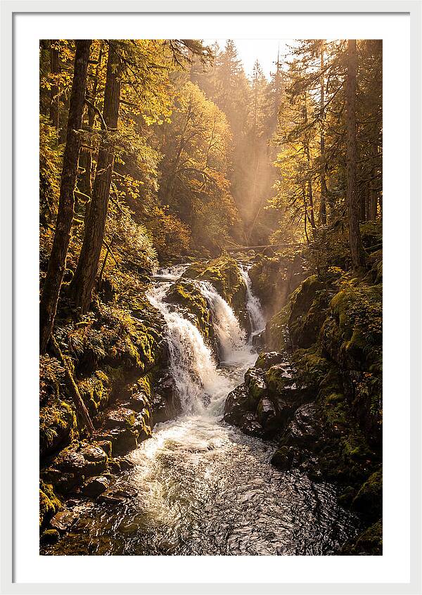 Cedar Falls Cascade