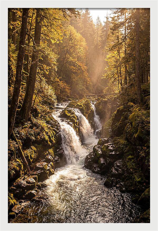Cedar Falls Cascade