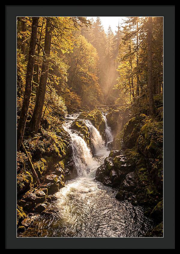 Cedar Falls Cascade
