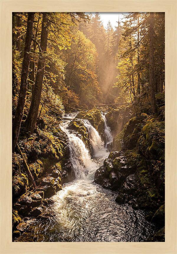 Cedar Falls Cascade